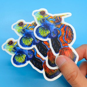 Mandarin Fish Sticker Pack of 3 | 3 by 2.59 Inches Tropical Fish Decal Mandarin Sticker Saltwater Fish Sticker Fish Tank Sticker Coral Reef