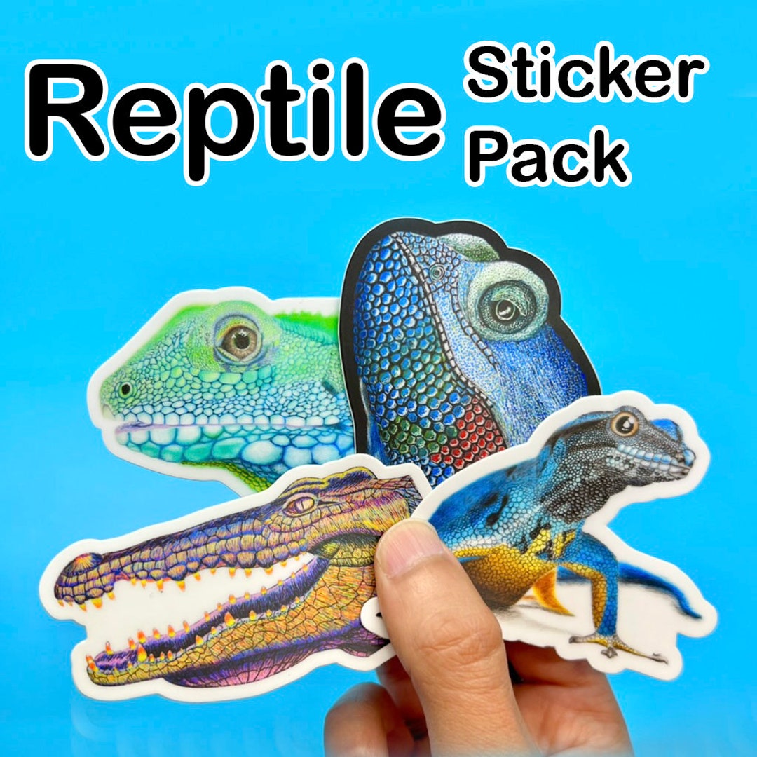 Reptile Sticker Pack or Individuals 3 X 3 Inch Bearded Dragon Lizard