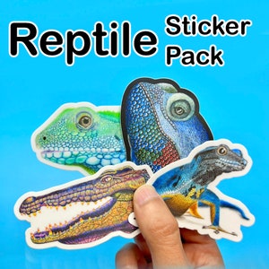 Può includere: Un pacchetto di adesivi con illustrazioni dettagliate di rettili, tra cui una lucertola verde, un camaleonte blu e un coccodrillo. Gli adesivi sono tenuti su uno sfondo blu, con le parole "Reptile Sticker Pack" in nero.
