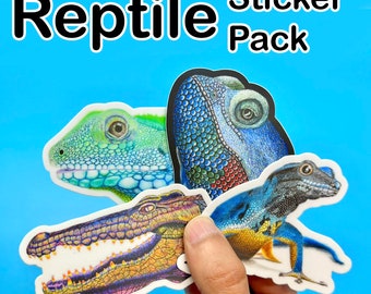 Reptile Sticker Pack or Individuals | 3 x 3 Inch Bearded Dragon Lizard, Blue Gecko, Crocodile and Green Chinese Water Dragon Sticker Decals
