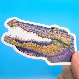Pegatina de cocodrilo de colores