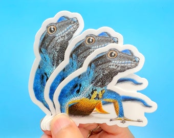 Blue Gecko Stickers Pack of 3 | 3 by 2.44 Inches | Durable Waterproof Vinyl