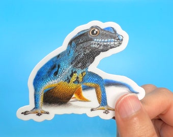Blue Gecko Sticker | 3 by 2.44 Inches | Durable Waterproof Vinyl