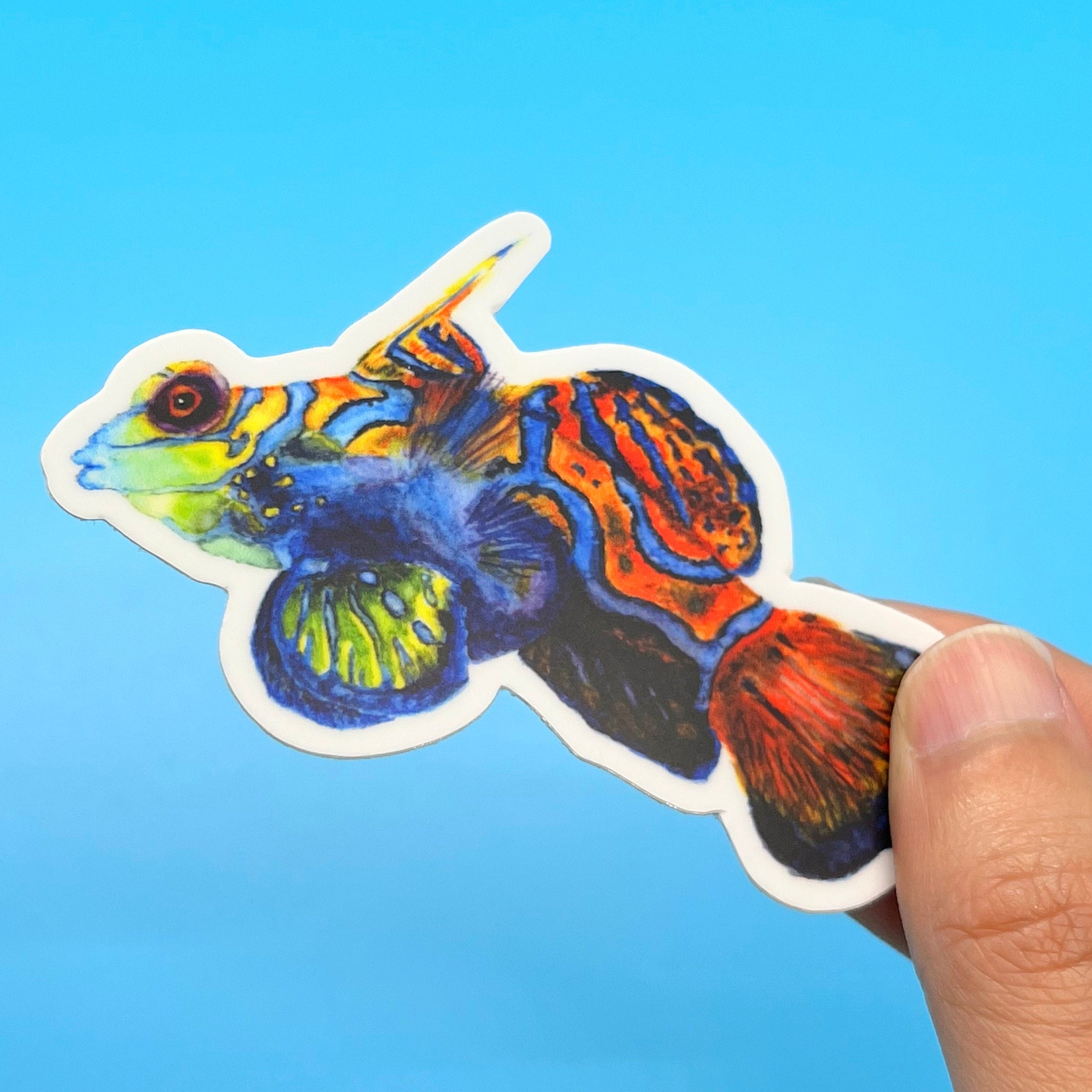 Mandarin Sticker Mandarin Fish Sticker - Etsy