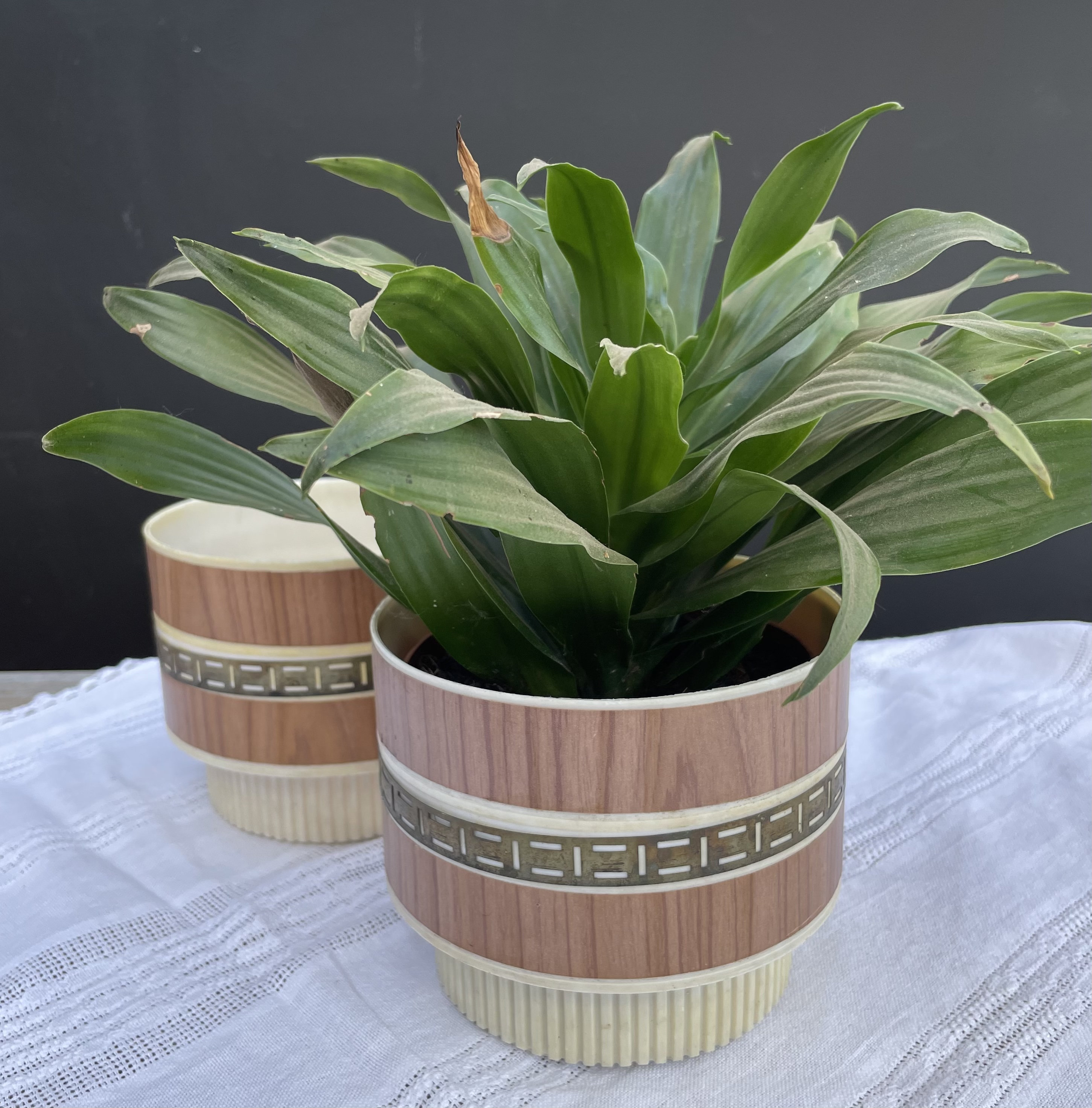 Vintage Blumenbertpfe Kunststoff DDR - Etsy.de