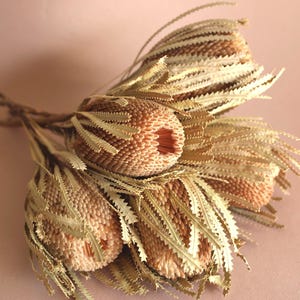 Dried Flower Arrangement Natural Floral Stem Boho Home Decor Floral Centerpiece Banksia Flower Bulk Minimalist Home Vase Bouquet Wildflower