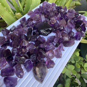 May include: A collection of raw amethyst crystals in varying shades of purple and violet. The crystals are displayed on a white surface, with some darker, almost black, pieces interspersed among the lighter ones. The crystals are of different sizes and shapes.