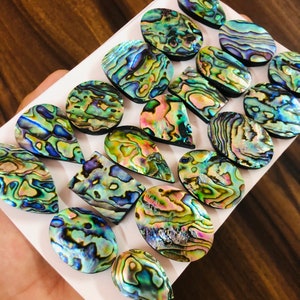 Lotto all'ingrosso Pr Kg Qualità elettrica 100% naturale Abalone Shell Cabochon Tutte le forme Tutte le dimensioni Mix Lotto Cabochon Gemma Lotto per la creazione di gioielli