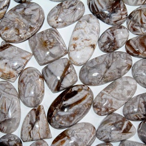 May include: A collection of 20+ natural agate cabochons in various shapes and sizes. The stones are a mix of white, brown, and gray with intricate patterns.