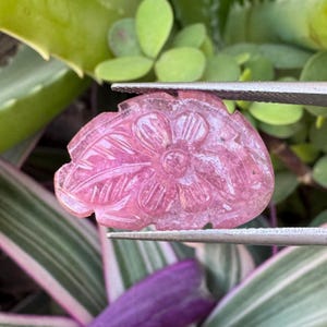 May include: A pink gemstone carved with a floral design, held by tweezers. The gemstone features a central flower surrounded by leaves, with intricate details. The background includes green and purple foliage.