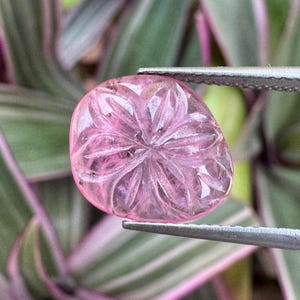 Puede incluir: Una gema rosa con un diseño floral tallado, sujeta con pinzas. La gema tiene forma ovalada y es translúcida, con un patrón detallado de pétalos que irradian desde el centro. El fondo presenta follaje verde y morado.
