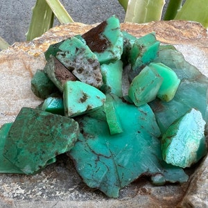 May include: A collection of green and brown chrysoprase gemstones, some with a rough texture, others with a smooth surface. The stones are arranged on a brown, textured surface.
