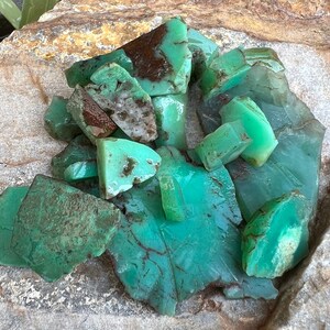 May include: A collection of green and brown chrysoprase gemstones, with a variety of shapes and sizes, displayed on a rough, textured surface.
