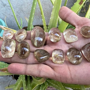 Natürlicher goldener Rutil-Quarz-Cabochon, goldener Rutil-Quarz, goldener Rutil-Kristallcabochon, Rutil-Quarz-Cabochon, für die Herstellung von Schmucksteinen