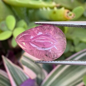 Puede incluir: Una gema rosa en forma de lágrima con detalles florales tallados es sostenida por unas pinzas plateadas. La gema tiene una calidad translúcida, con tonos rosas más claros en las áreas talladas. El fondo presenta plantas verdes y moradas.