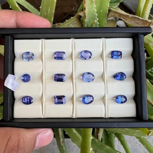 May include: A collection of twelve blue gemstones displayed in a white velvet lined box. The gemstones are arranged in rows and are of various shapes and sizes.