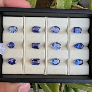 May include: A collection of twelve blue gemstones displayed in a white velvet lined box. The gemstones are arranged in rows and are of various shapes and sizes.