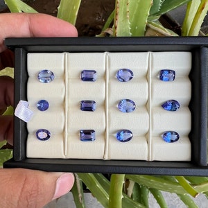 May include: A collection of twelve blue gemstones displayed in a white velvet-lined box. The gemstones are arranged in three rows of four, with each gemstone in its own individual compartment. The gemstones are various shapes, including oval, pear, and emerald cut.