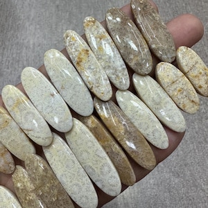 Paires de cabochons de corail fossile, Paires de pierres précieuses de corail fossile, Lot de paires de corail fossile, Paires de cabochons, Paires de pierres précieuses, Lot de paires de corail fossile