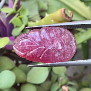 Könnte beinhalten: Ein geschnitzter, oval geformter, rosa Edelstein, der von einer Pinzette gehalten wird. Der Edelstein weist ein Blumen- und Blattdesign auf. Der Hintergrund ist verschwommen und zeigt grünes und violettes Laub.