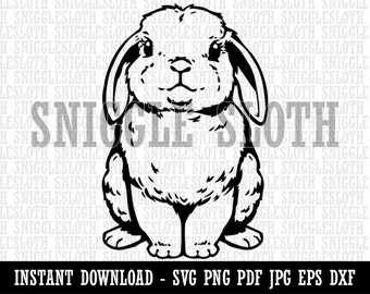 Lop Eared Bunny | Etsy