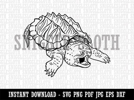 Alligator Snapping Turtle Clipart Instant Digital Download SVG | Etsy
