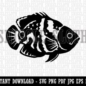 Tiger Oscar Cichlid Fish Clipart Instant Digital Download SVG EPS