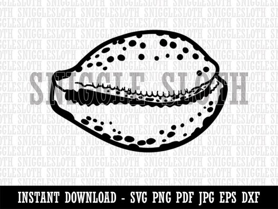 Cypraea Tigris Cowrie Shell Beach Seashell Clipart Digital Etsy 日本