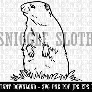 Groundhog Woodchuck Standing Up Clipart Instant Digital Download SVG EPS PNG pdf ai dxf jpg Cut Files for Commercial Use