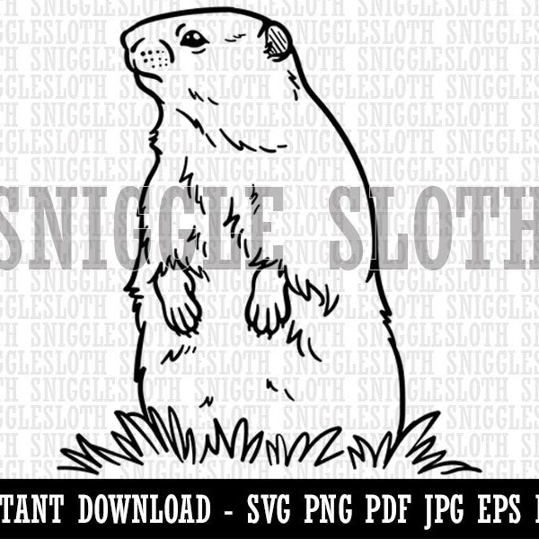 Groundhog Woodchuck Standing Up Clipart Instant Digital Download SVG EPS PNG pdf ai dxf jpg Cut Files for Commercial Use