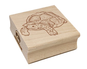 Curious Sulcata Tortoise Turtle Square Rubber Stamp for Stamping Crafting