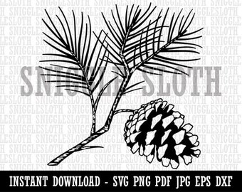 Pine Tree Branch with Pinecone Cone Winter Clipart Digital Download SVG EPS PNG pdf ai dxf jpg Cut Files Commercial Use