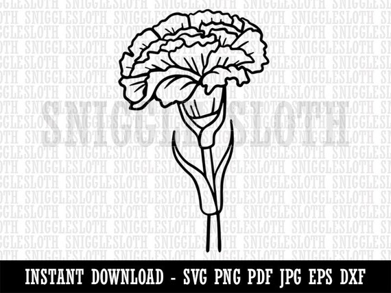Carnation Flower Clipart Instant Digital Download SVG EPS PNG - Etsy