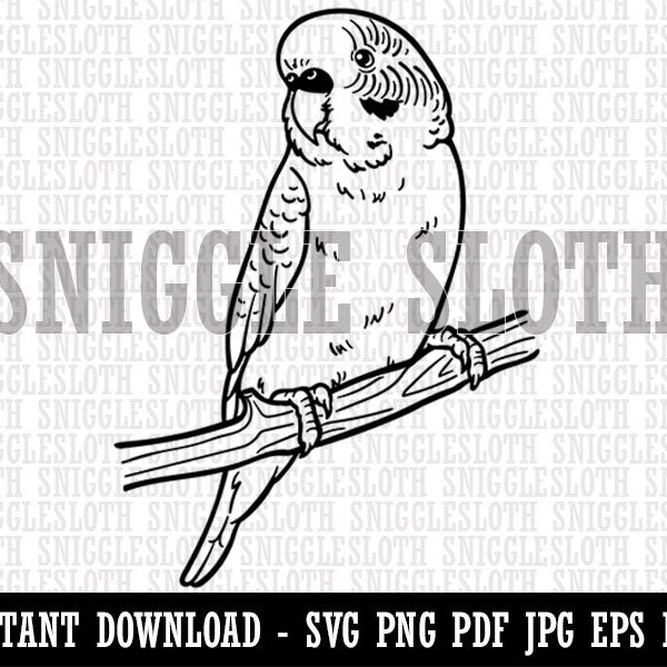Curious Parakeet Budgie on a Branch Clipart Instant Digital Download SVG EPS PNG pdf ai dxf jpg Cut Files Commercial Use