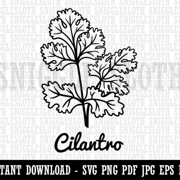 Cilantro Cut Files Etsy