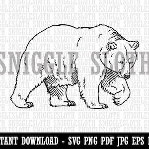 Curious Grizzly Bear Clipart Instant Digital Download SVG EPS PNG pdf ai dxf jpg Cut Files for Commercial Use