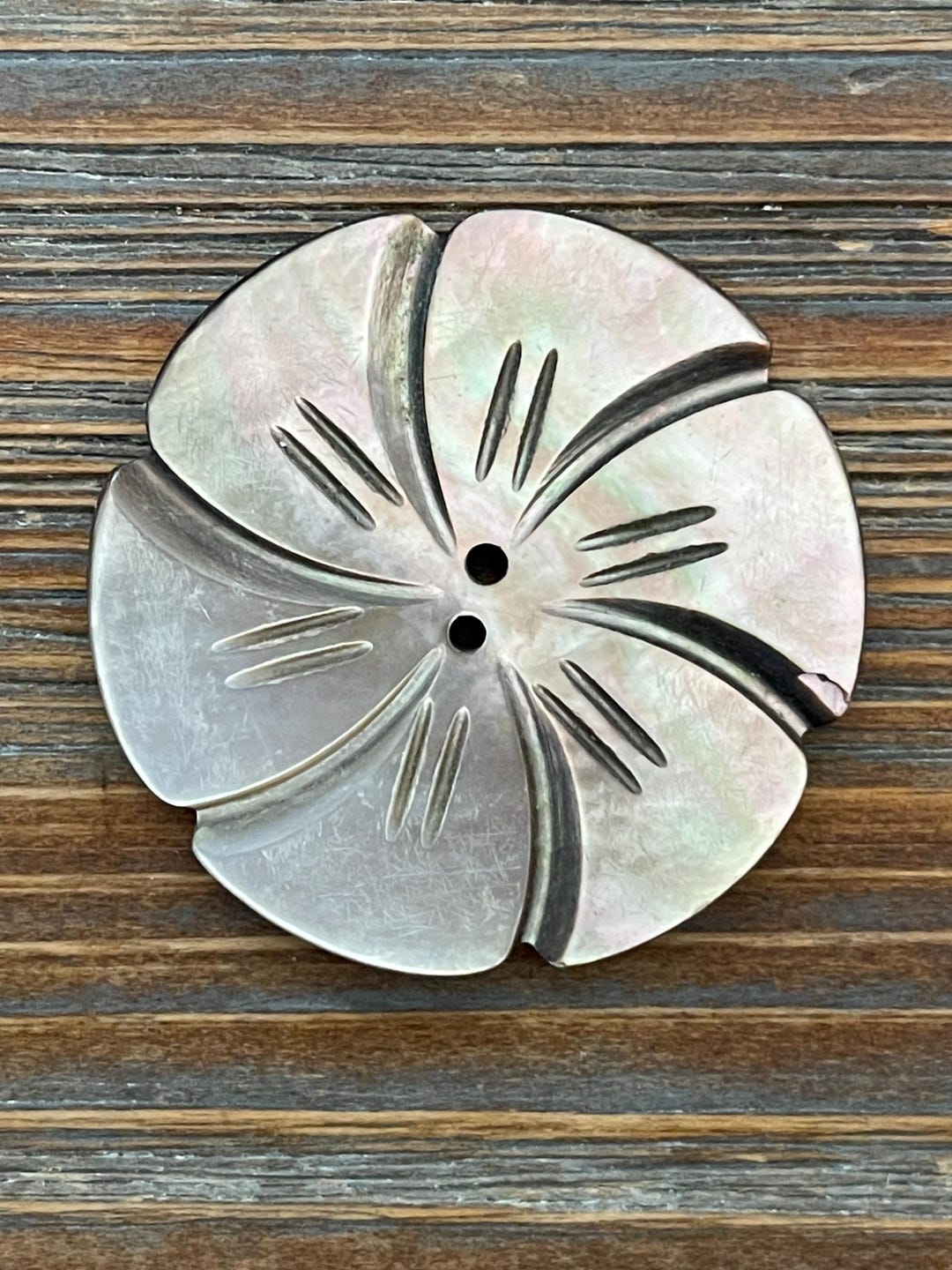 Pinwheel Shells Large Carved Antique Pearl Shell Flower Button: Iridescent Flower ...