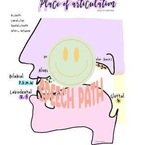 SLP Places of articulation diagram, speech, slp2b, study resource,  future speech pathologist