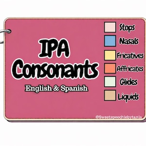 May include: A pink flashcard with a silver ring, featuring the text "IPA Consonants English & Spanish" in a bold, black font. Color-coded boxes indicate different consonant types: Stops, Nasals, Fricatives, Affricates, Glides, and Liquids.