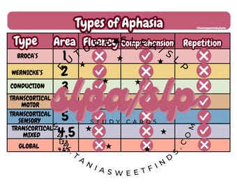 Types of Aphasia, SLP, SLPA, study notes, visual guide, speech therapy, neuro, med SLP, speech therapy notes, slp study