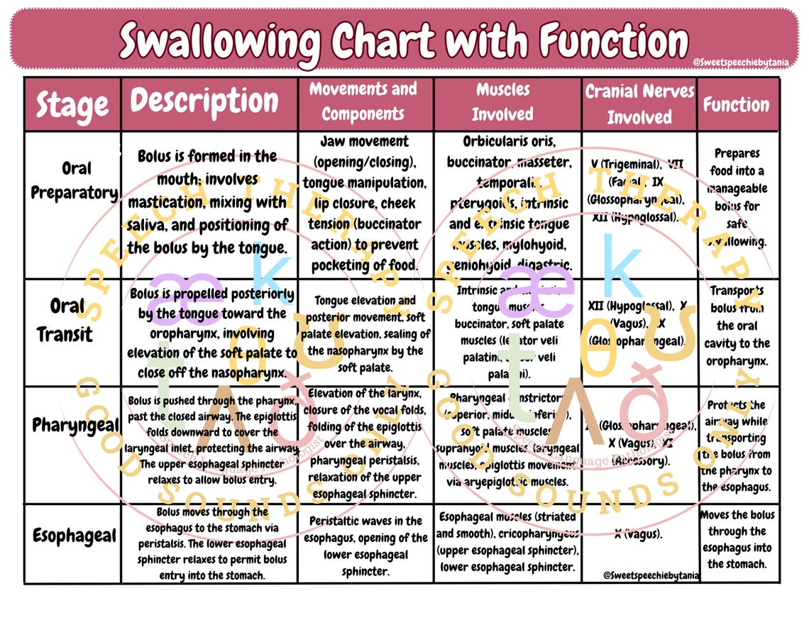 Swallowing Chart, SLP Study, Speech Therapy Tools, Study Tools, SLP2B ...