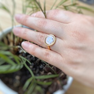May include: A gold ring with a clear resin setting featuring a delicate blue flower.
