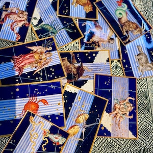 Ästhetische Vintage illustrierte 12 Sternzeichen Vinyl-Aufkleber [ Johann Bayers 12 Karten Der Sternzeichen] Geburtstagsgeschenk Horoskop Astrologie