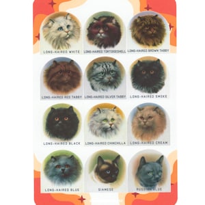 May include: A rectangular sticker sheet featuring twelve circular portraits of various cat breeds with labels including Long-Haired White, Tortoiseshell, Brown Tabby, Red Tabby, Silver Tabby, Smoke, Black, Chinchilla, Cream, Blue, Siamese, and Russian Blue.