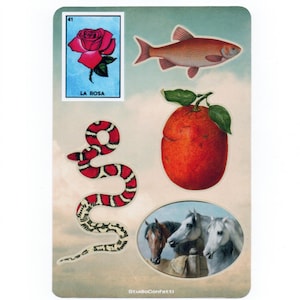 Könnte beinhalten: Ein rechteckiger Aufkleberbogen mit einer Sammlung von Illustrationen im Vintage-Stil, darunter eine rosa Rose mit der Aufschrift 'LA ROSA' und der Nummer 41, ein brauner Fisch, eine rote Orange mit grünen Blättern, eine rot-weiße Schlange und drei Pferde.