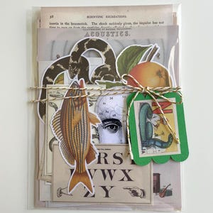 May include: A bundle of vintage ephemera, featuring paper cutouts of a fish, snake, apple, and anatomical illustrations, tied with twine. The package includes pages with text such as "SCIENTIFIC RECREATIONS" and "ACOUSTICS."