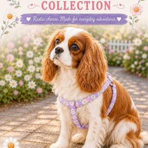 Step-In Dog Harness | Cute Pastel Dog Harness | Puppy Harness with D-Ring | Adjustable Handmade Dog Harness | Small Medium Large Dogs