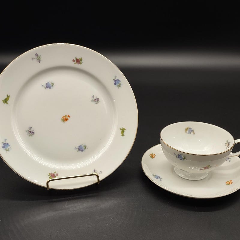 Thompson China Patterns Thomas China Patterns - Etsy