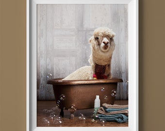 Lama Bathtub Art Print, Lama Bathing, Lama Bath Wall Art Alpaca Ready-to-frame Print, Woodland Animals, Farm Print, Zoo Print, Poster