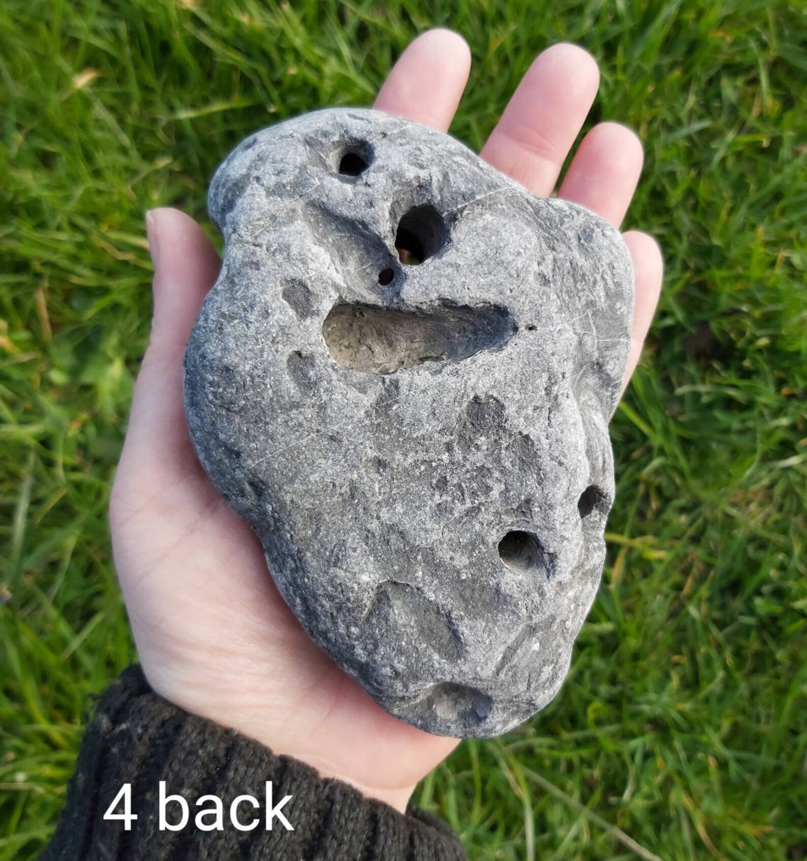 1 5 LARGE Irish Hag Stones Choose Your Own Holey Stone Etsy